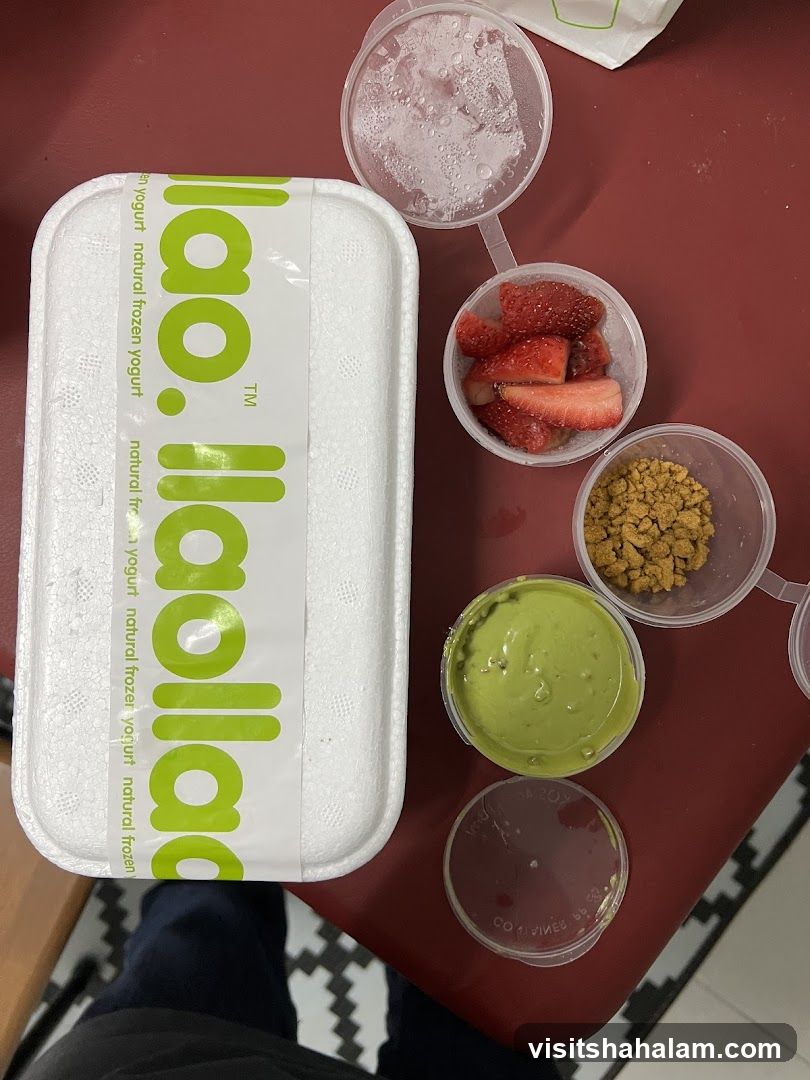 Frozen Yogurt Takeout