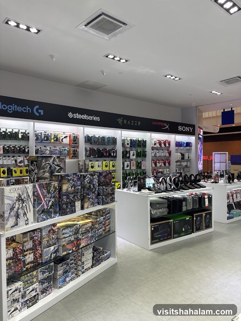 Electronics and Model Store Interior
