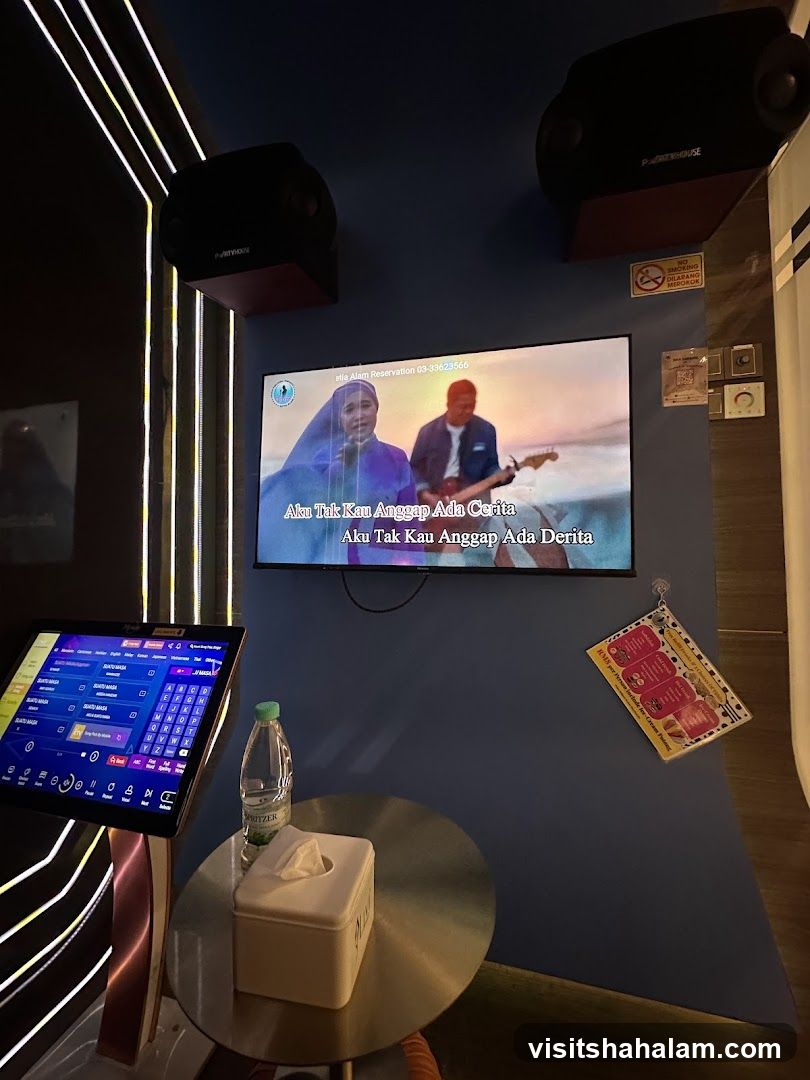 Karaoke Room