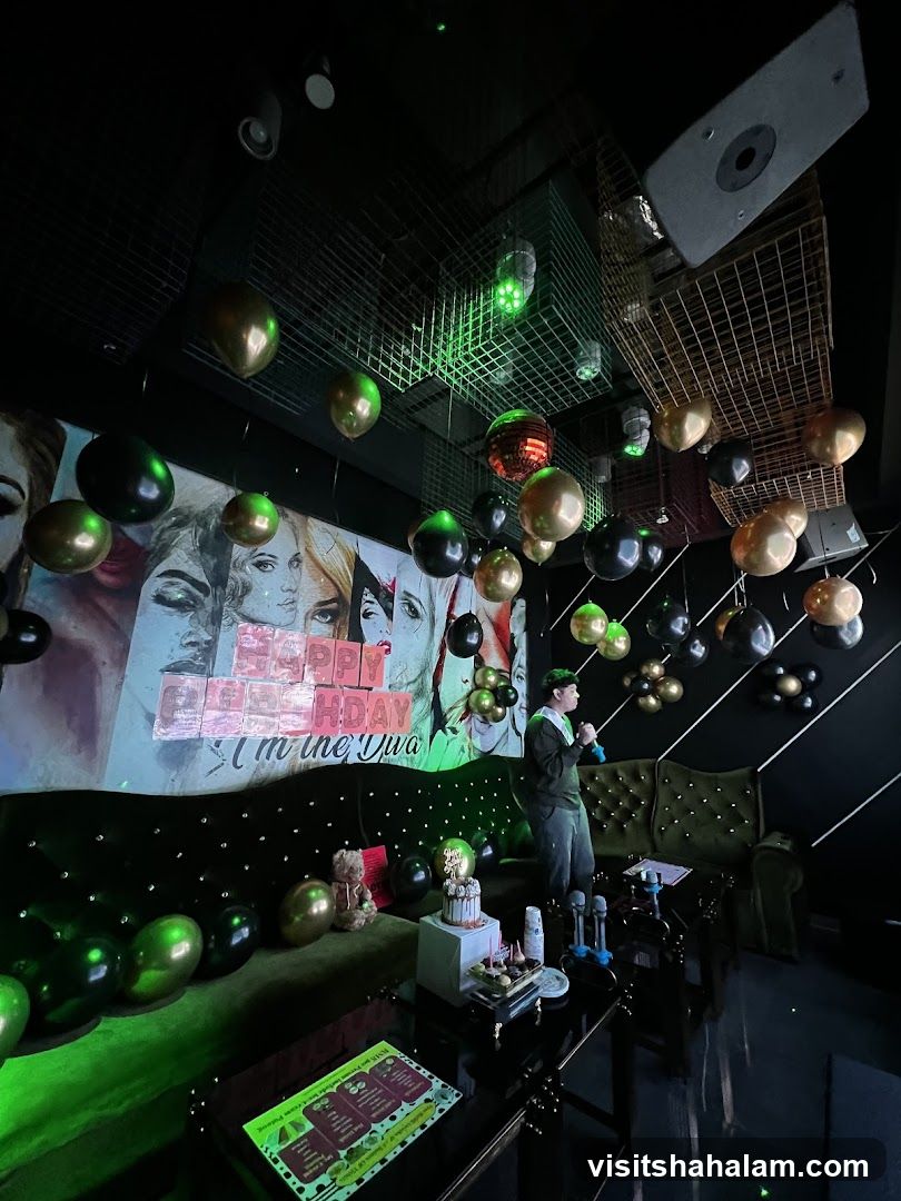 Birthday Celebration with Karaoke
