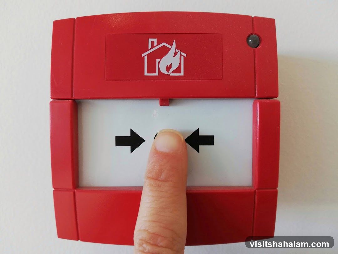 Fire Alarm Button