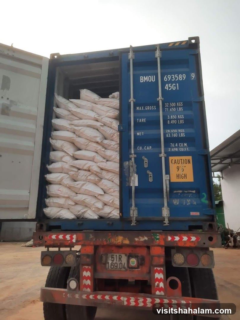 Shipping Container Filled with Bags