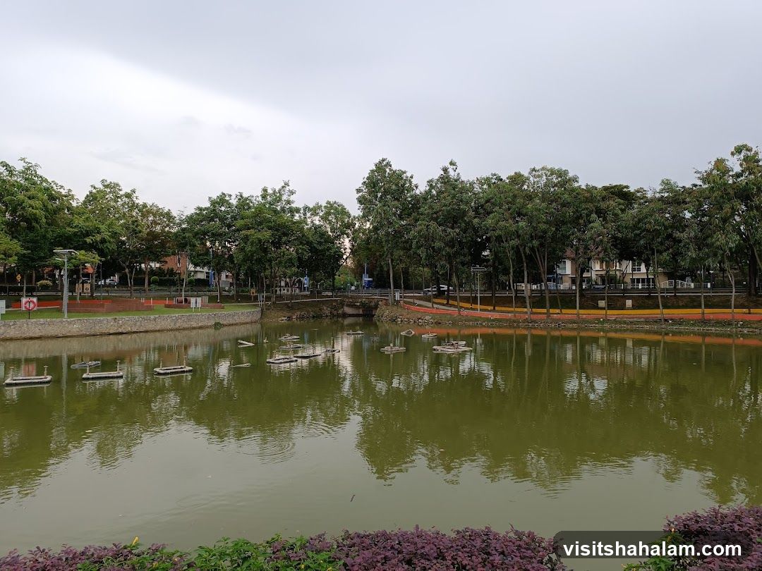 Park with Pond and Trees