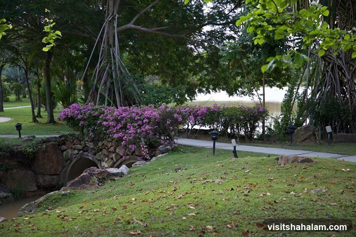 Park Pathway with Stone Bridge and Flowers