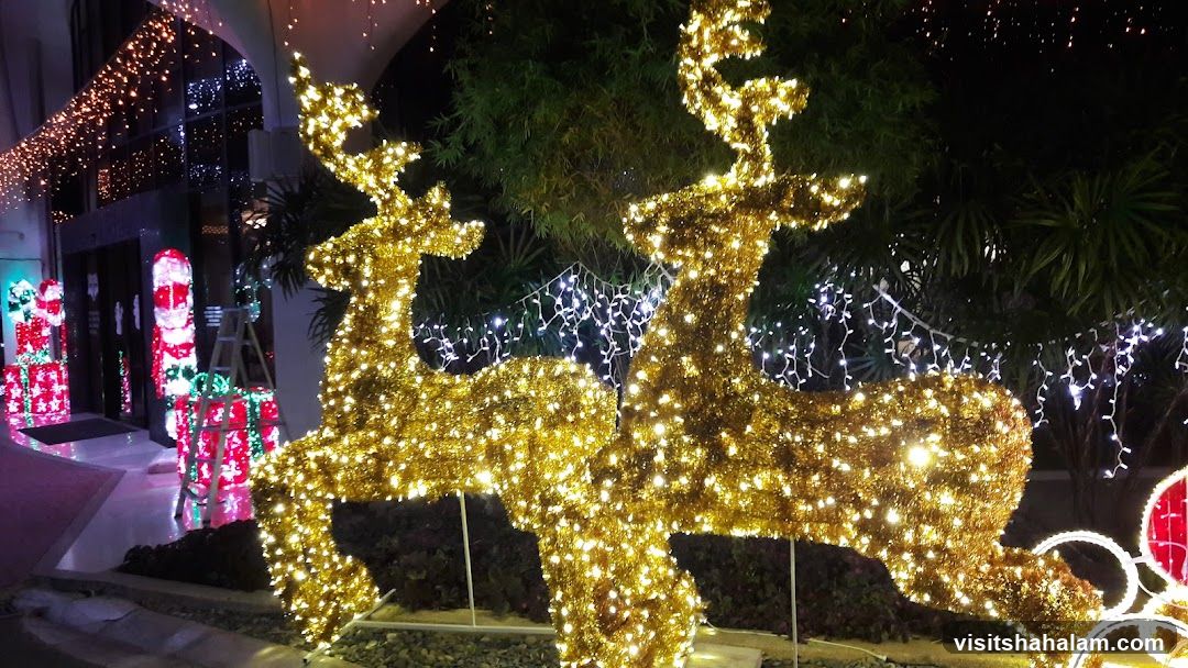 Christmas Reindeer Decorations