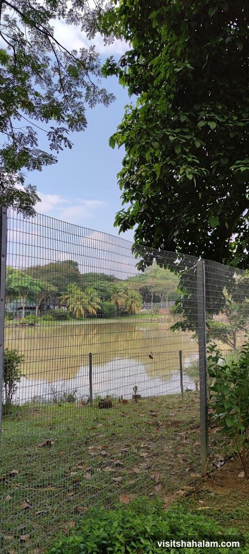 Park with a pond