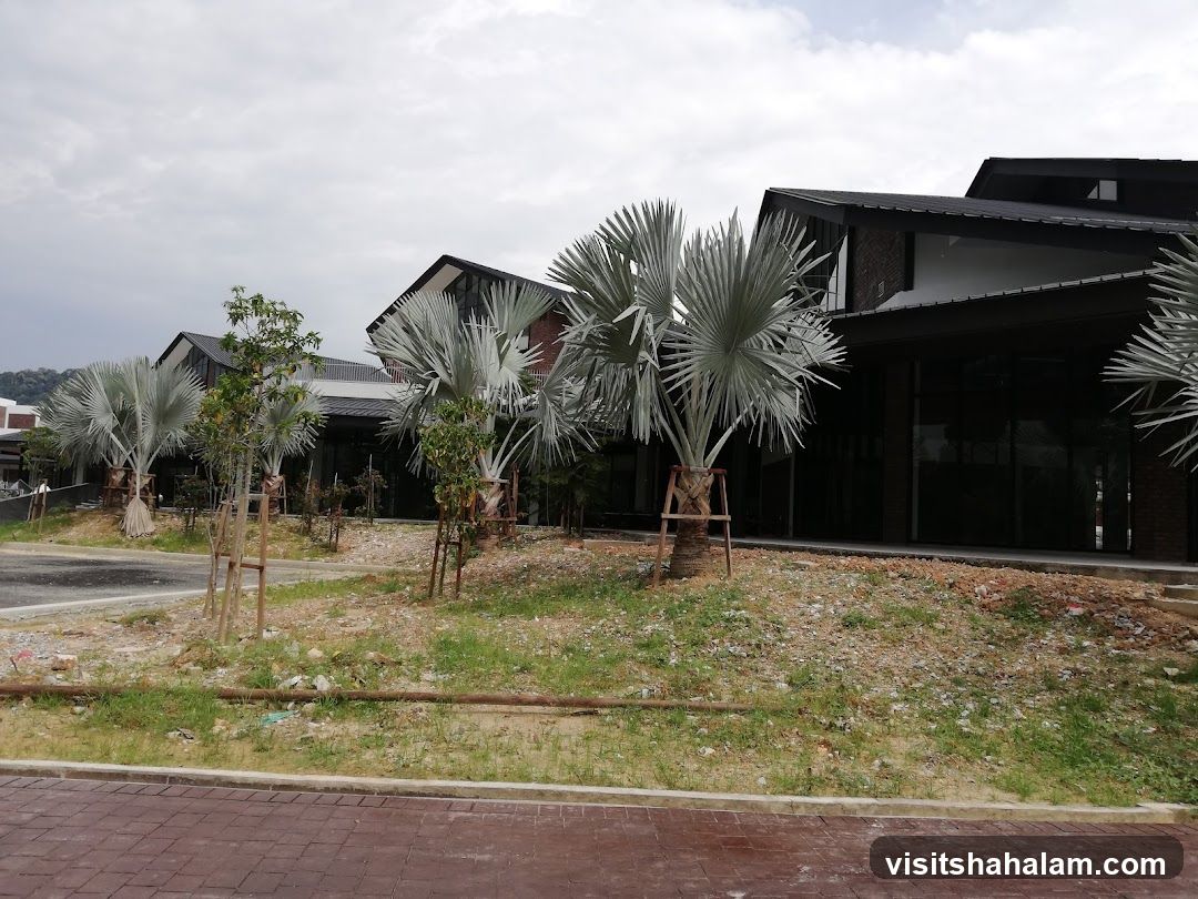 Modern Buildings with Palm Trees