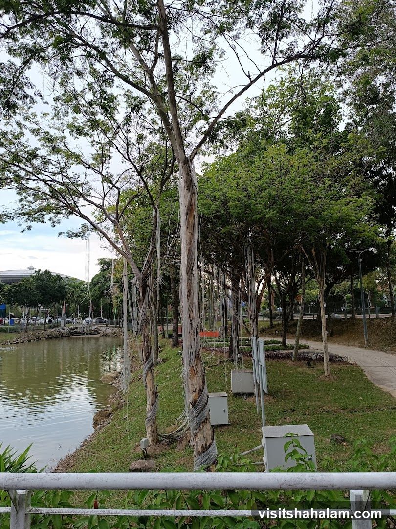 Park with a pond and trees