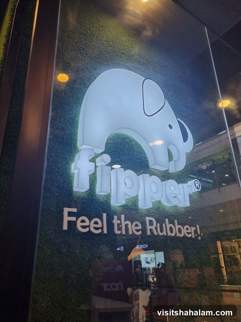 Fipper