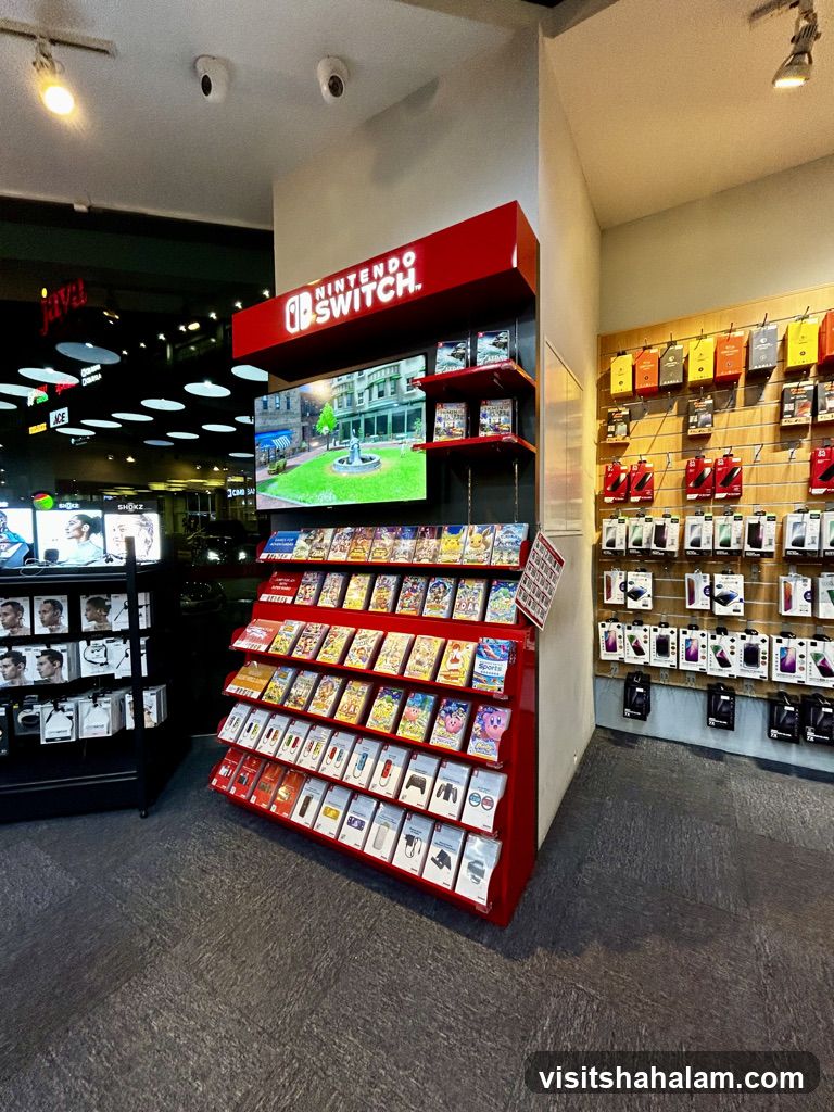 Nintendo Switch Display