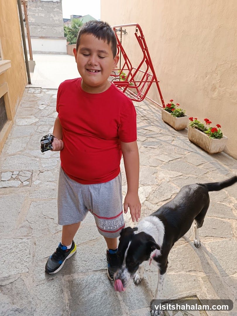 Boy with toy truck and dog