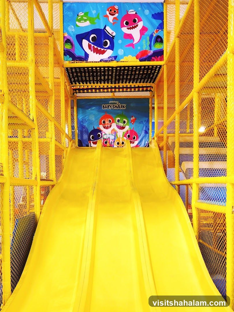 Baby Shark Themed Indoor Playground