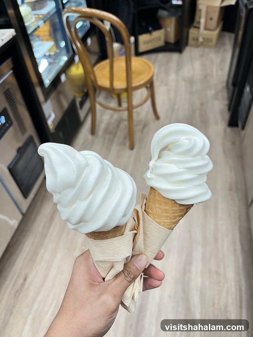 Two Soft Serve Ice Cream Cones