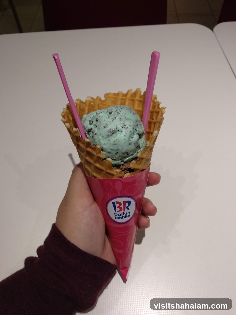 Mint Chocolate Chip Ice Cream Cone