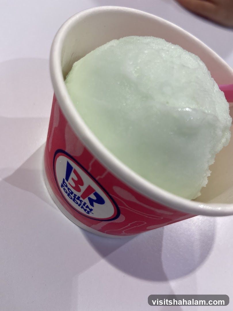 Ice Cream Cup