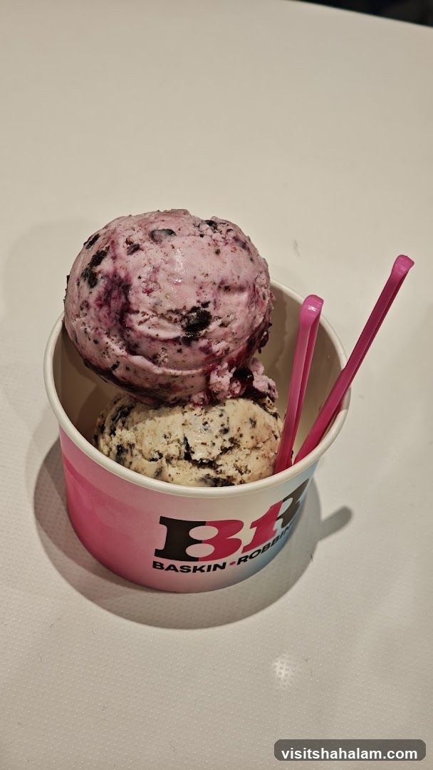Baskin-Robbins Ice Cream Cup