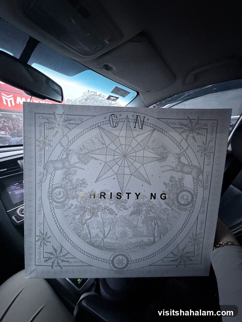 Christy Ng Box