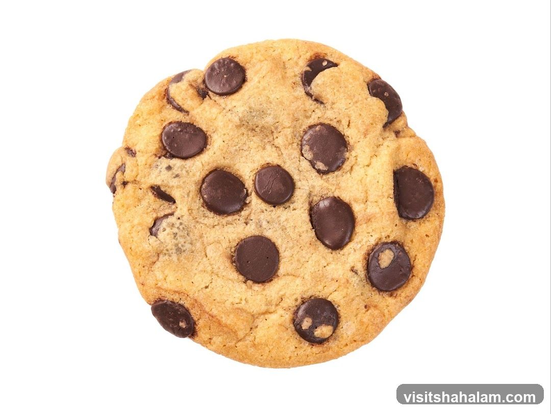 Chocolate Chip Cookie