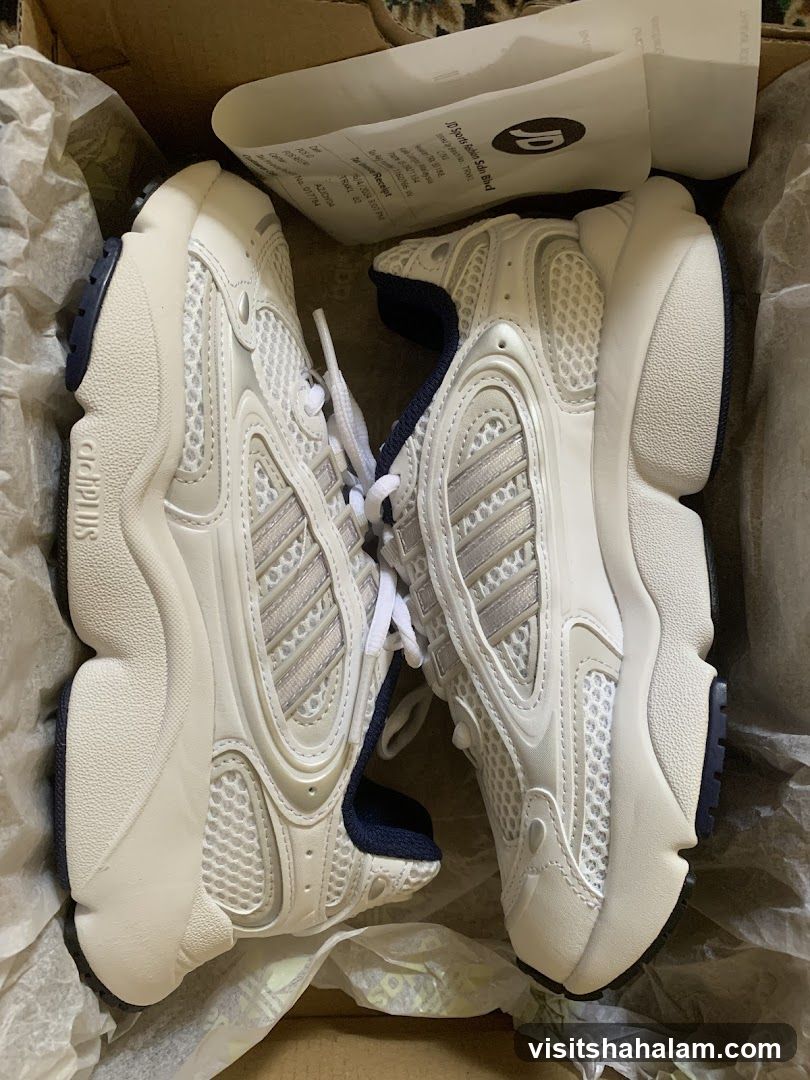 White Sneakers in a Box
