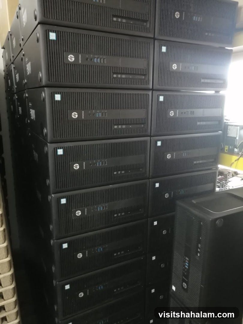 Sky Best Computer Trading