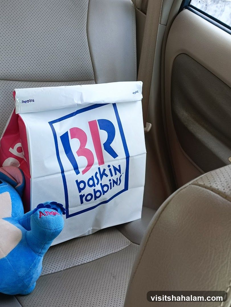 Baskin Robbins Bag