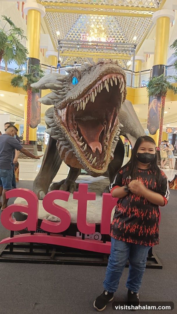 Dragon Display