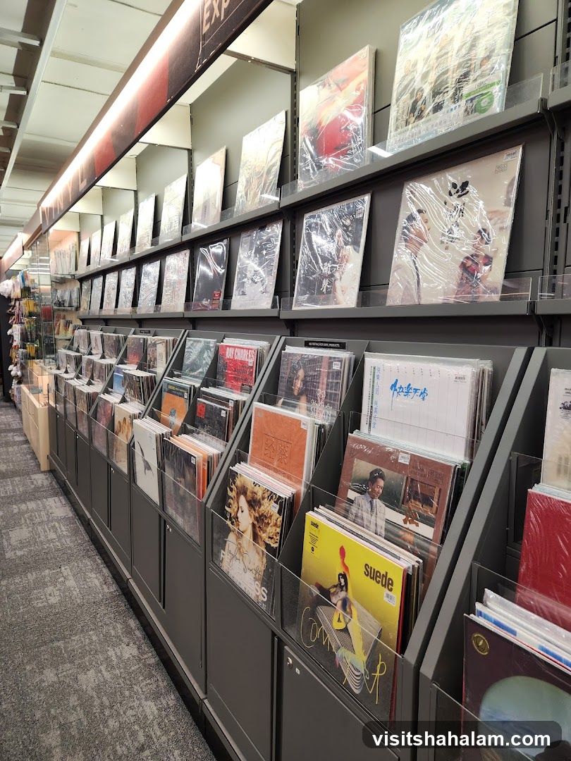 Record Store Display