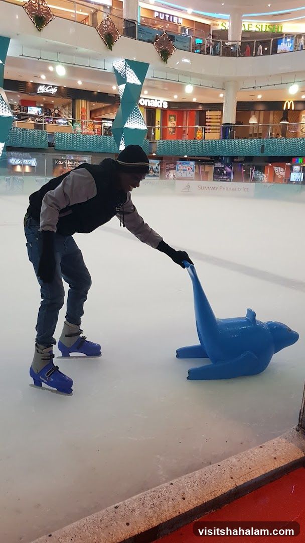 Ice Skating Rink with Seal Prop