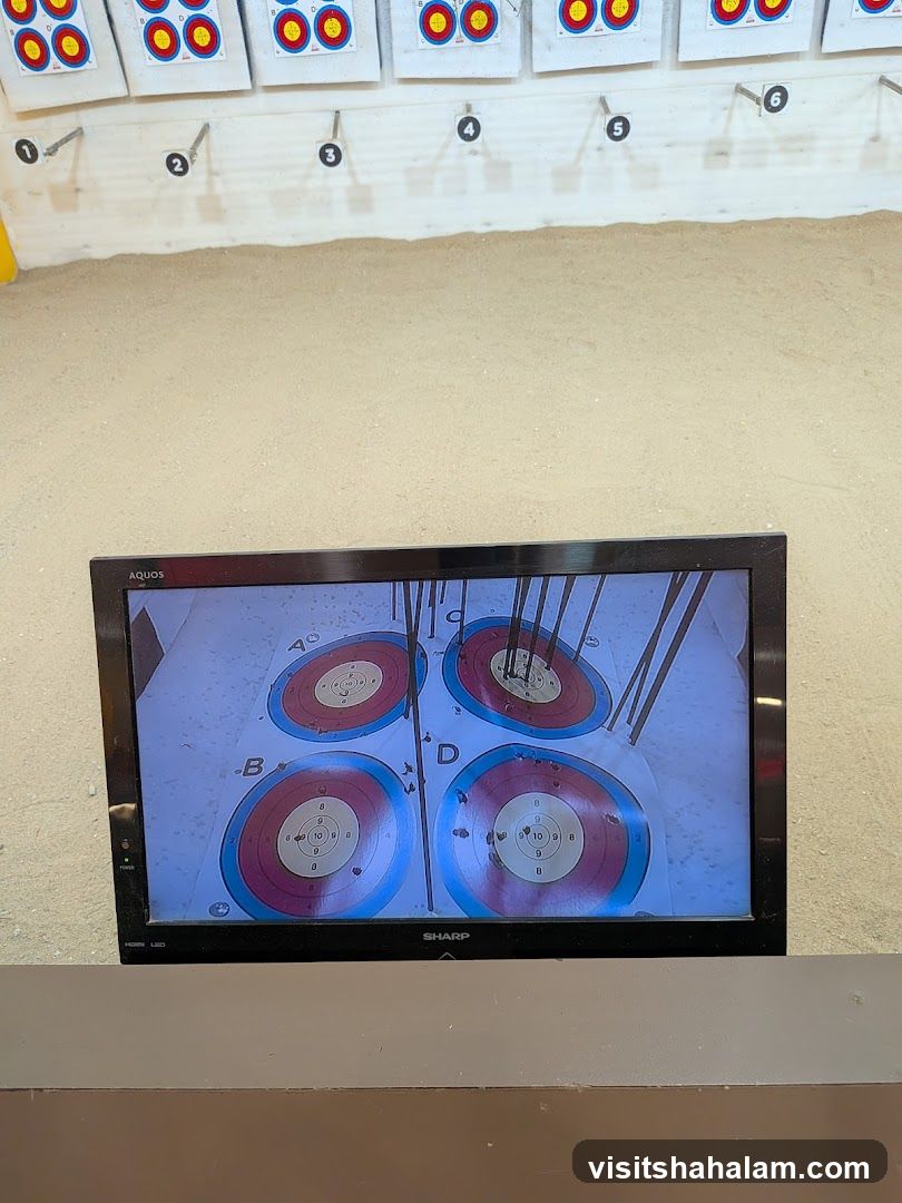 Archery Targets Displayed on Screen