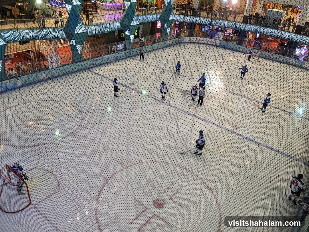 Ice Hockey Game