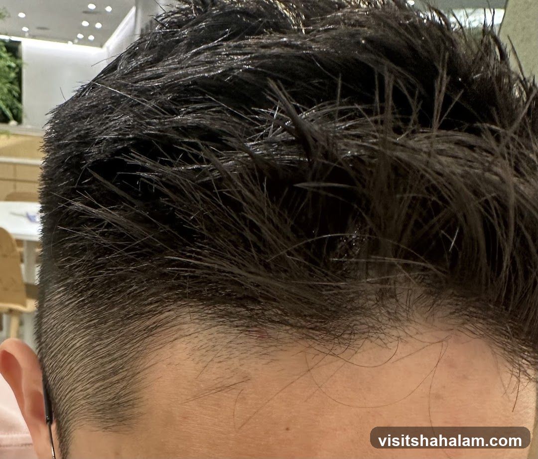 Close-up of a man's dark, styled hair