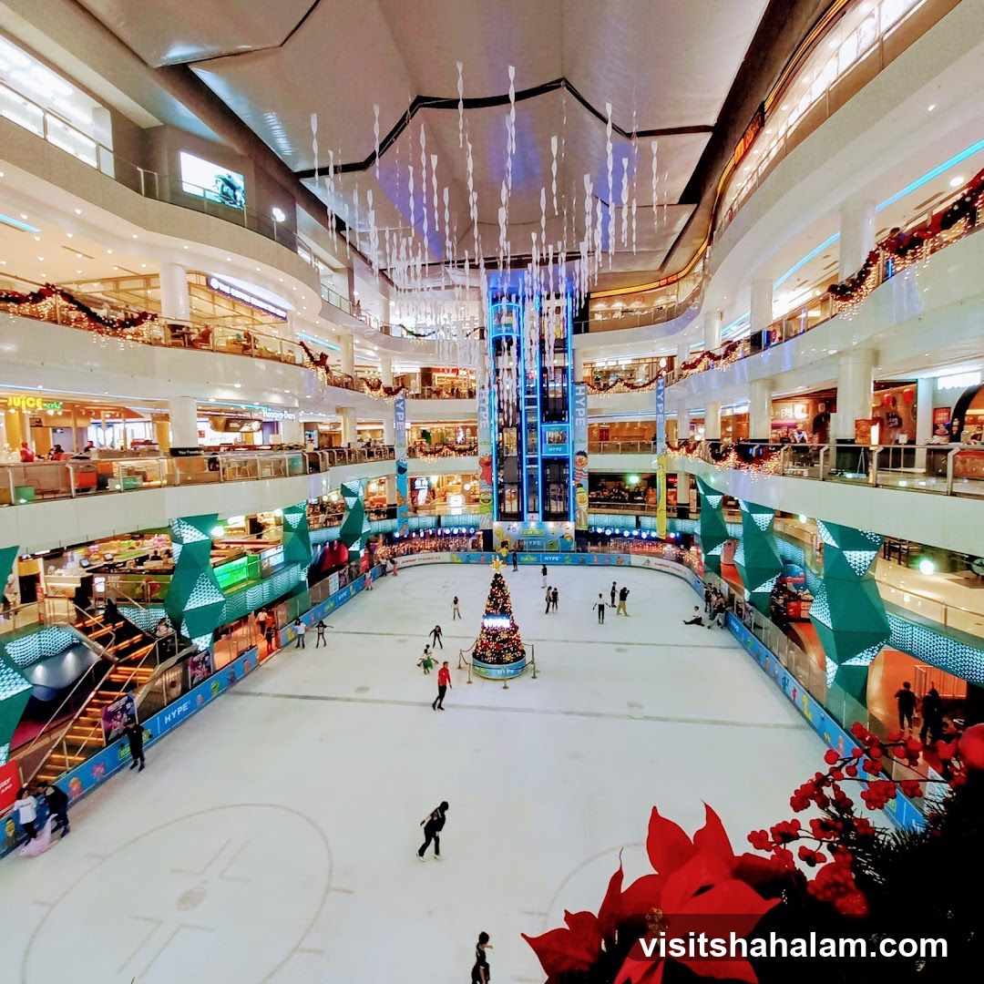 Ice Skating Rink in a Mall