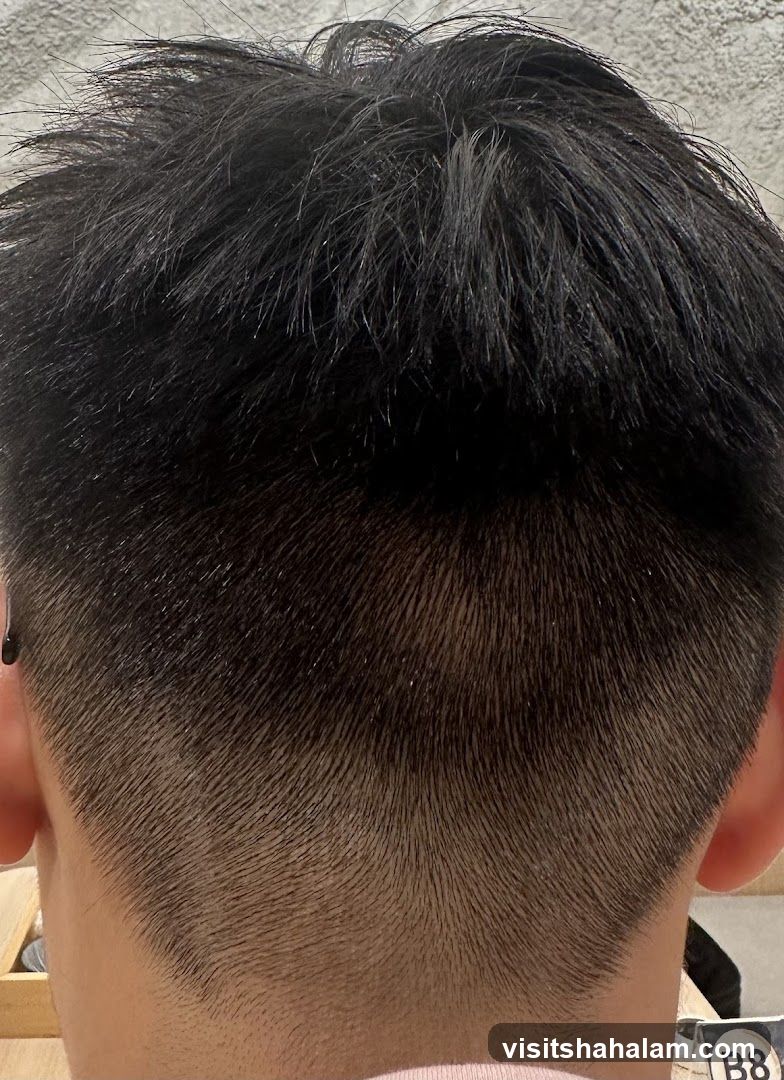Close-up of a man's haircut