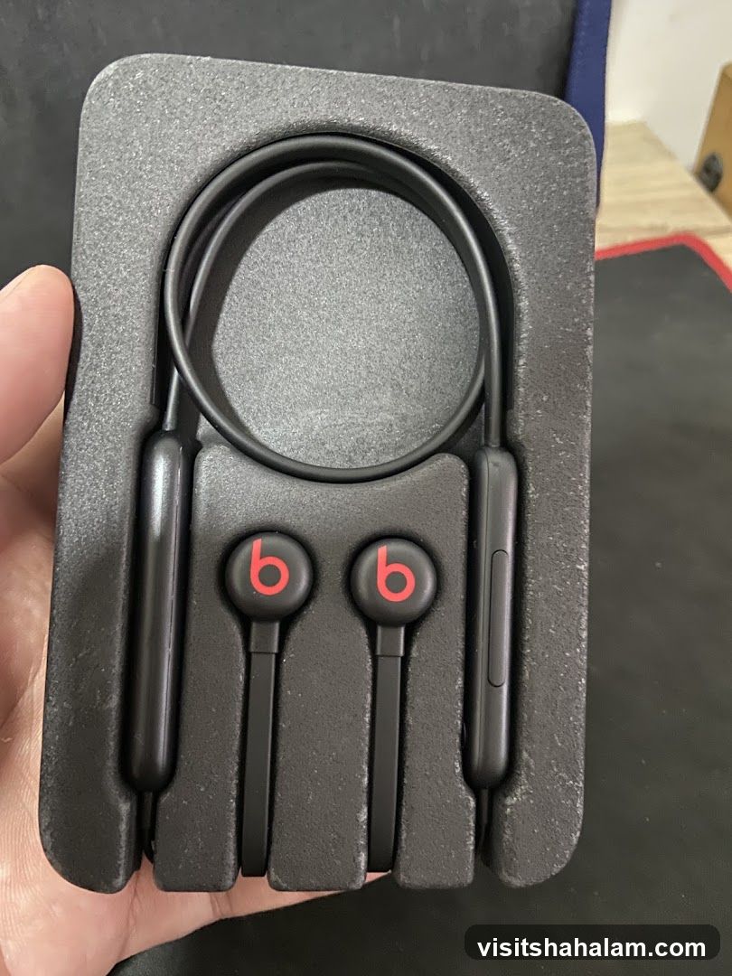 Beats Earphones
