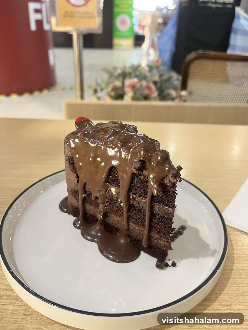 Chocolate Cake Slice