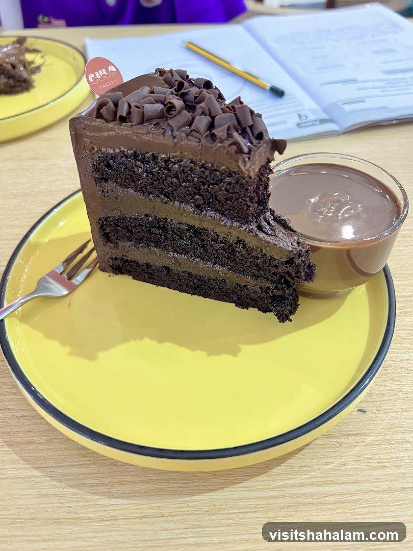 Chocolate Cake Slice with Chocolate Sauce