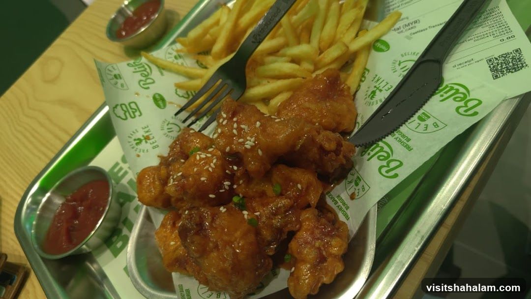 Chicken Wings and Fries