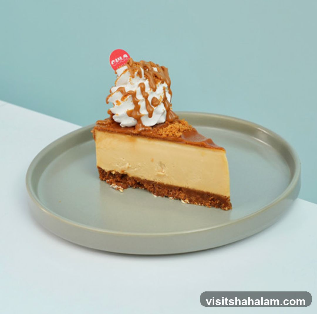 Cheesecake Slice