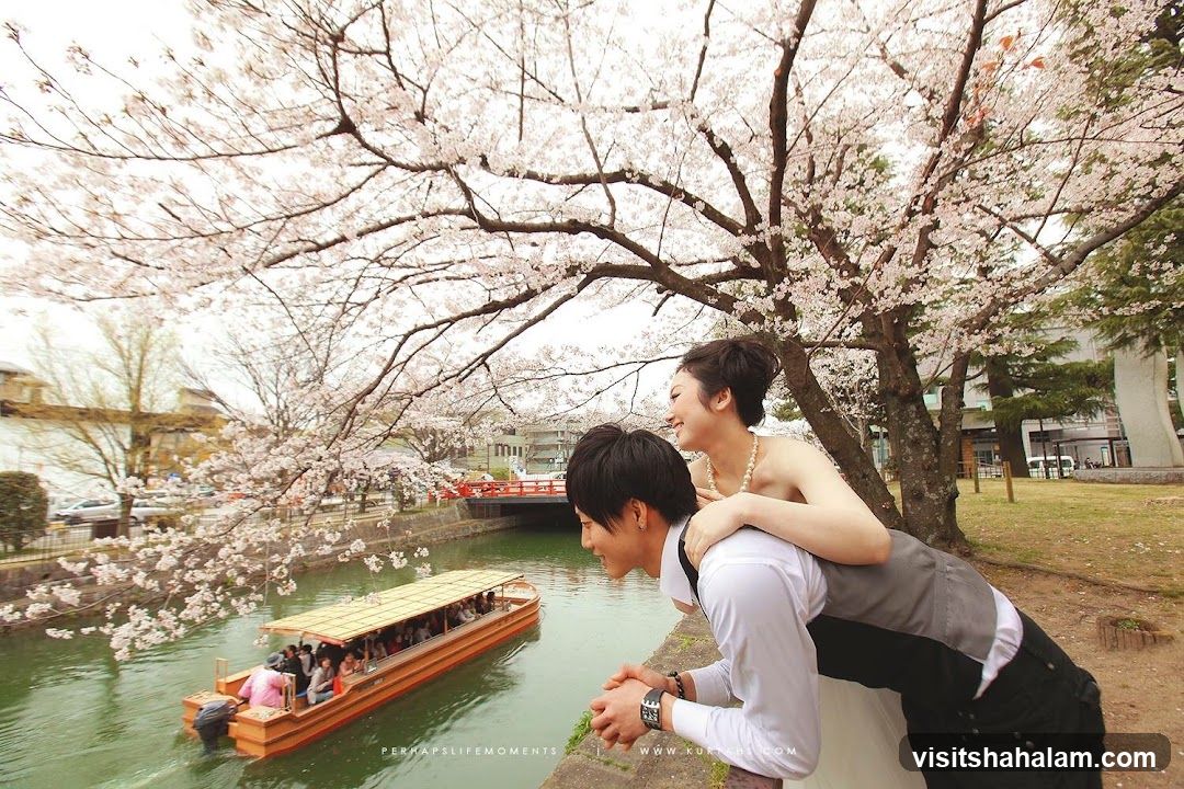 Couple enjoying cherry blossoms by a canal