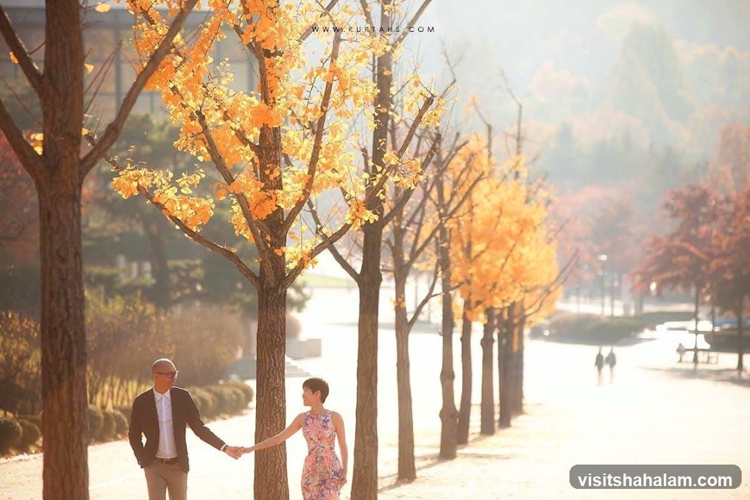 Couple holding hands in autumn park
