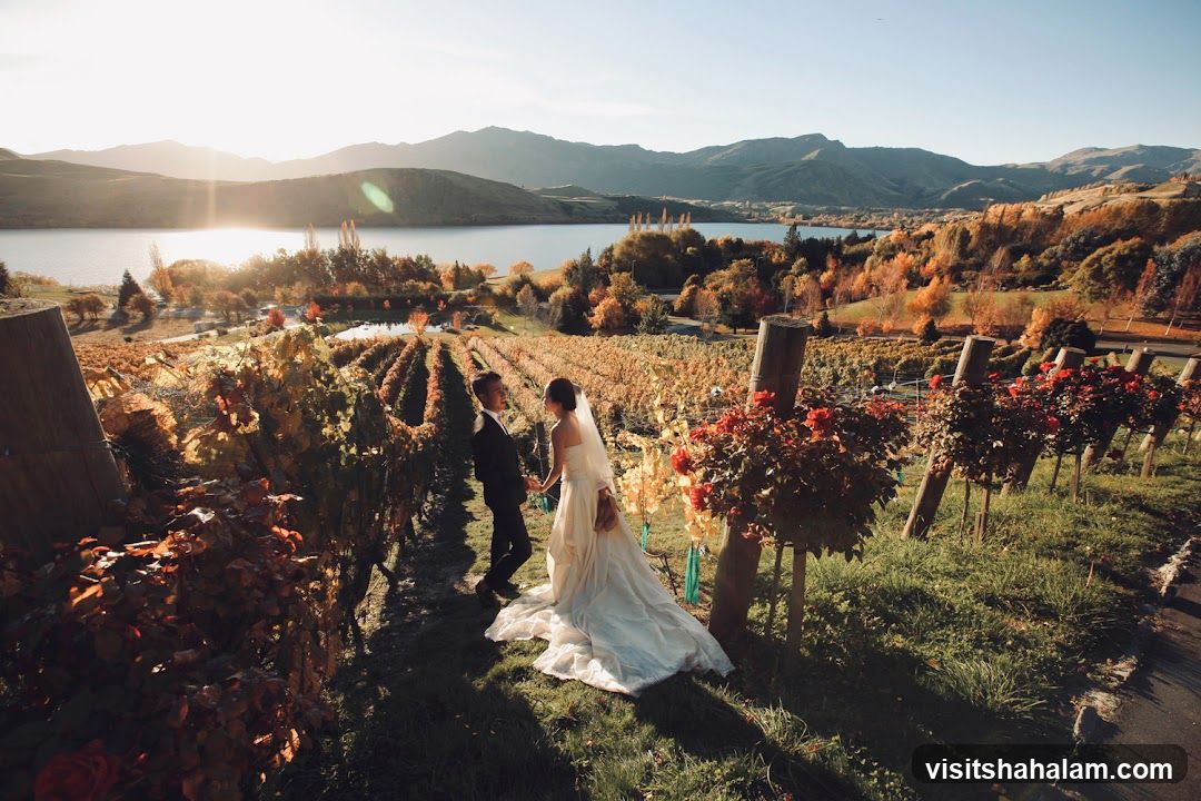 Wedding Couple in Vineyard