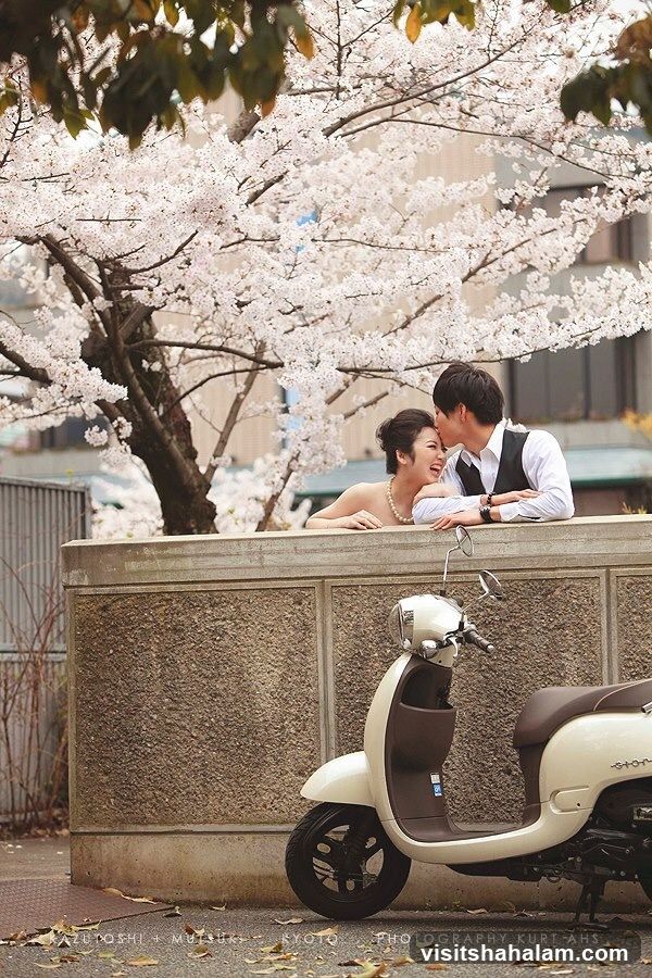 Couple under cherry blossoms