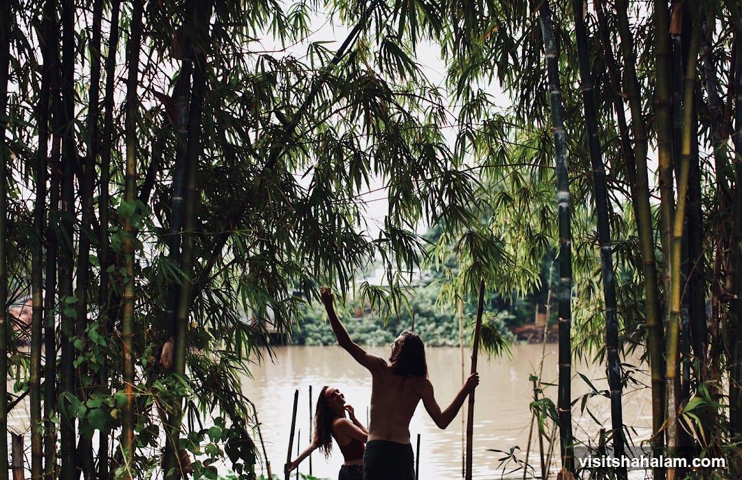 Couple in Bamboo Forest by River