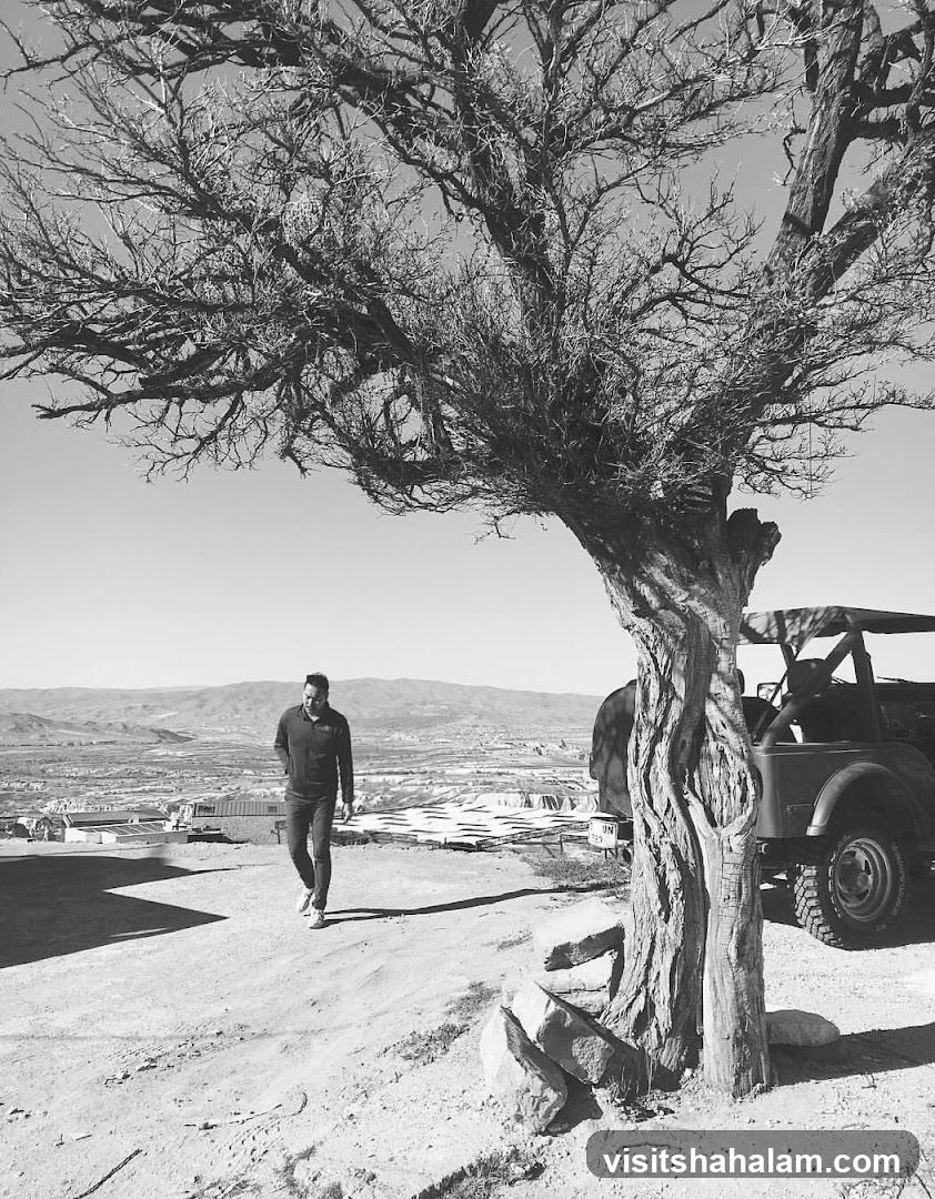 Man walking near a gnarled tree and a jeep