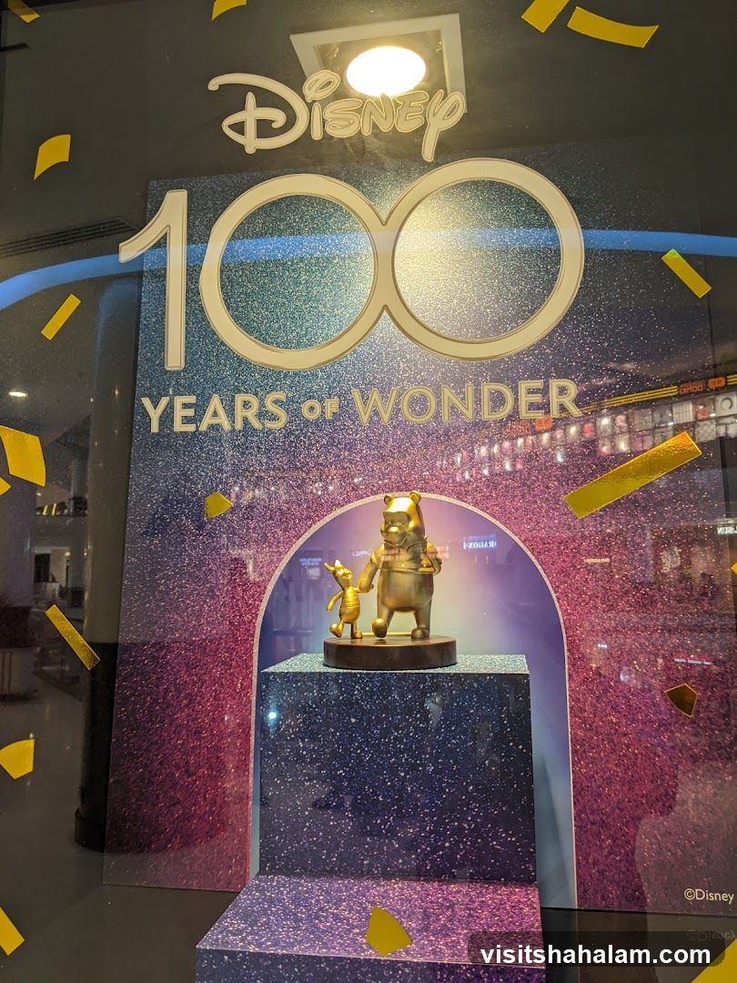 Disney 100 Years of Wonder Display