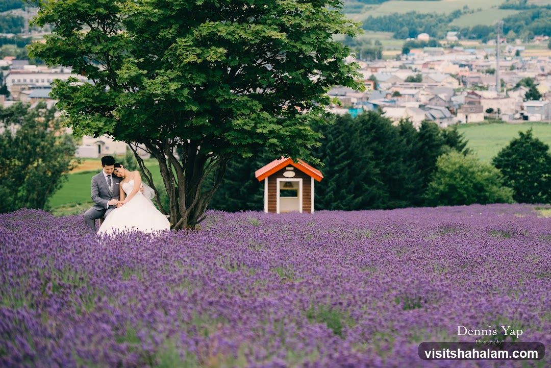Couple in Lavender Field