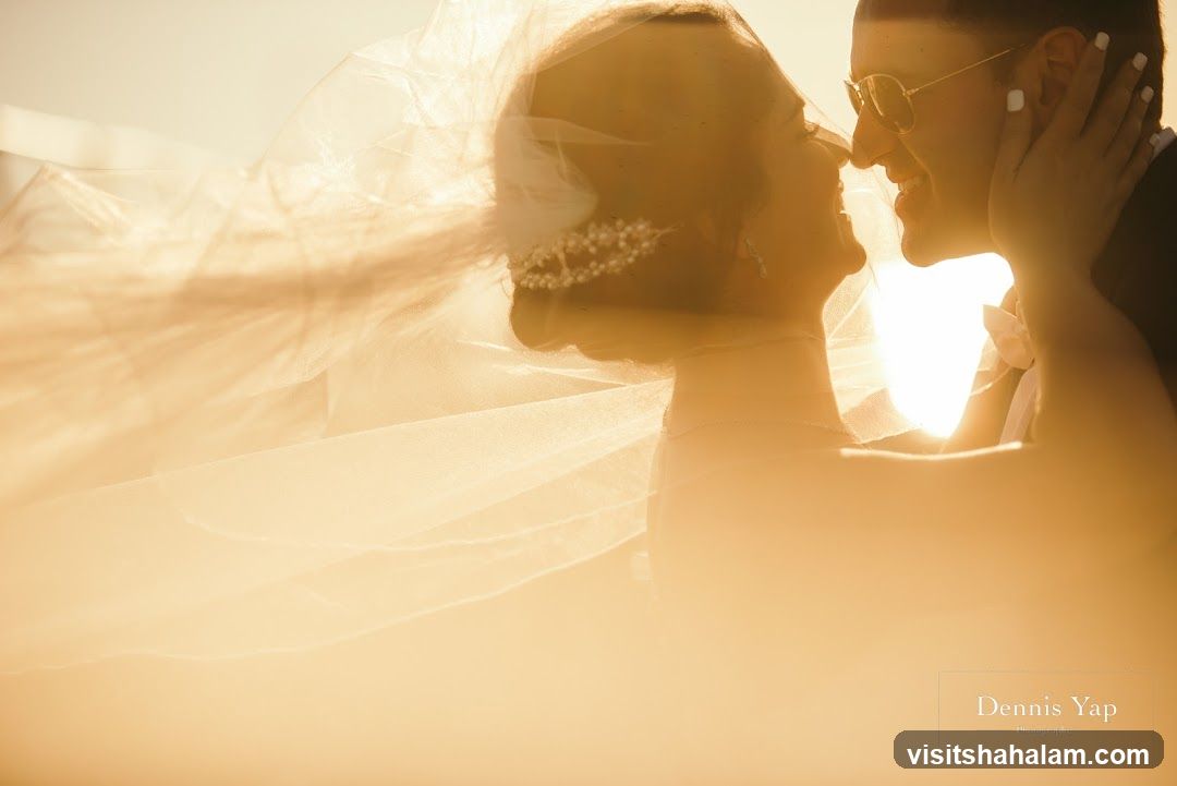 Wedding Couple Silhouette