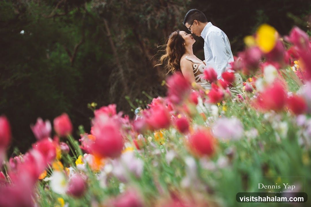 Couple in a field of flowers