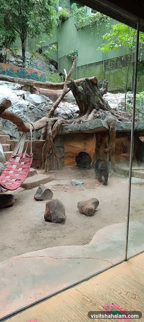 Zoo Enclosure