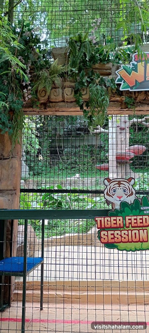 Tiger Feed Session Sign